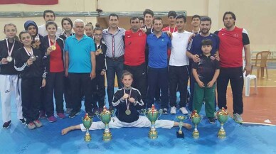 İllerarası Taek-Wondo Turnuvası Sakarya'da yapıldı