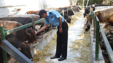 Kartepe’de Kurban satış ve kesim yerleri denetlendi