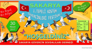 Sakarya’da Kostüm Güvercinleri Festivali düzenlenecek