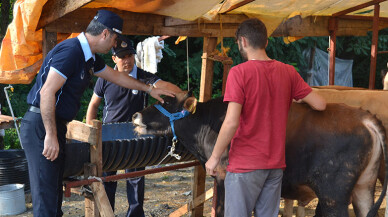 Sapanca’da Kurban satış ve kesim yeri denetlendi