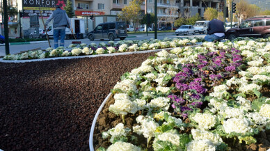 Gemlik renkleniyor