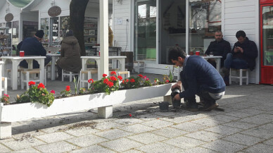 SAÜ'lü Öğrenciler Sanat Sokağı’nı Çiçeklerle Donattı