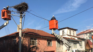 SEDAŞ'tan Leylek yuvası için titiz çalışma