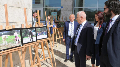 Can dostların yaşam mücadelesi bu fotoğraflarda