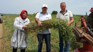 Kocaeli Büyükşehir’in tohum desteği ile verim arttı
