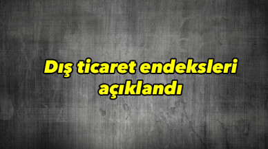 Dış ticaret endeksleri açıklandı