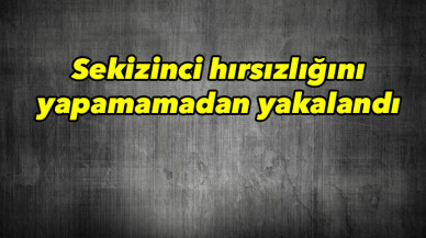 Sekizinci hırsızlığını yapamadan yakalandı