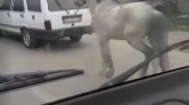 Vicdansız sürücü atını aracının arkasına bağlayıp ana yolda koşturdu