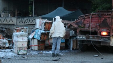 Ekipler kaza sonucu yıkılan şebekeyi yenilemek için arılarla mücadele etti