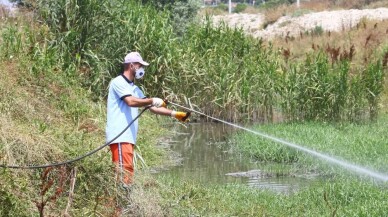 Başakşehir’de çevreye duyarlı sivrisinek mücadelesi