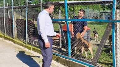 Başkan Özen, hayvan barınağını ziyaret etti