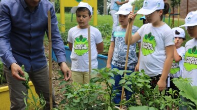 ‘Benim Bahçemin’ ilk ürünleri fide vermeye başladı