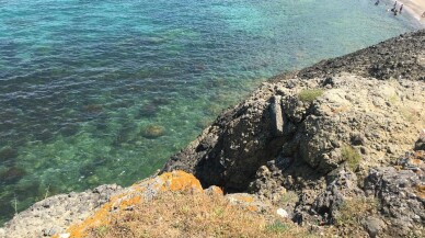 Beykoz’da aile pikniği az kalsın faciaya dönecekti