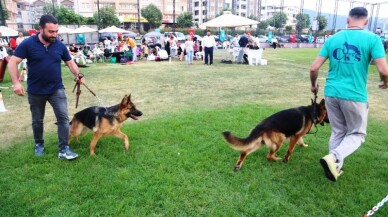 Farklı köpek ırkları Nilüfer’de buluştu