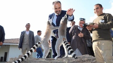 Hayvanat Bahçesi’nde bayram rekoru