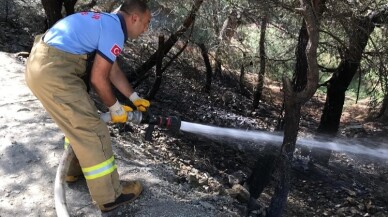 Islanan elbiselerini kurutmak isteyen çocuk orman yangını çıkardı