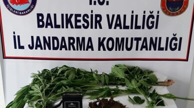 Jandarmadan uyuşturucu tacirlerine savaş