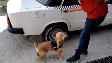 Narkotik köpeği önce buldu, sonra poz verdi