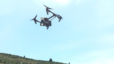 (Özel) Bursa kestanesi drone ile korunacak