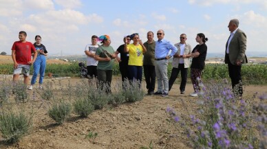 Başkan Akgün, “Lavanta, birçok ailenin geçim kaynağı olacak”