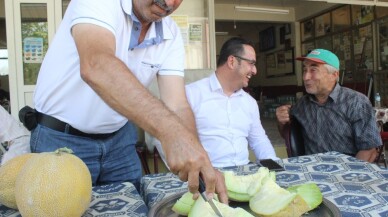 Bursa’da kavun hasadı başladı, fiyatlar yüzleri güldürdü