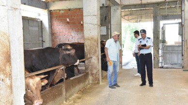 Kartepe Belediyesi’nden kurban satış ve kesim yerlerine denetim