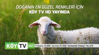 Köy TV HD yayın hayatına başladı