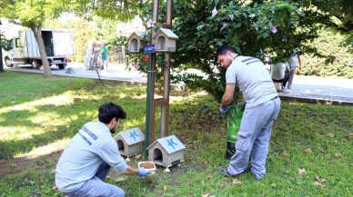 Küçükçekmece’de sokak hayvanları unutulmuyor