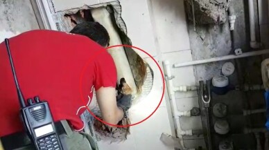 Lavabo borusuna sıkışan 2 yavru kediyi duvarı kırarak kurtardılar