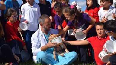 Osmangazi’de binlerce sokak hayvanı sağlığına kavuştu