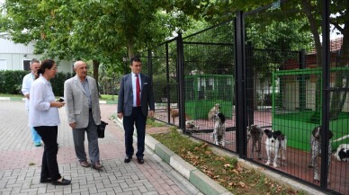 Prof. Dr. Aygül’den hayvan barınağına övgü