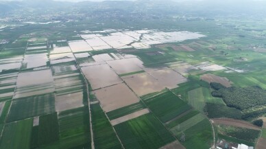 Sakarya’da 20 bin dekar tarım alanı sular altında kaldı