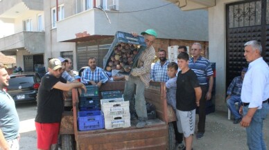 Dünyada sadece Bursa’da yetişiyor ama alan yok