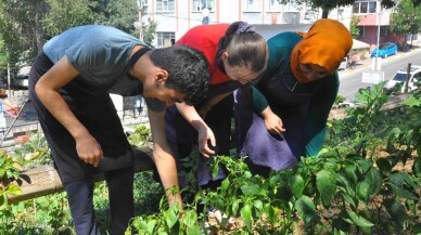 ESER’de hasat zamanı