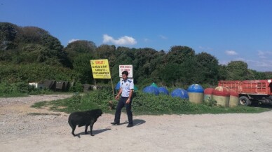 Kartepe’de sokak hayvanları yalnız değil