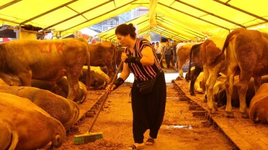 Küçükçekmece kurban pazarının tek kadın besicisi