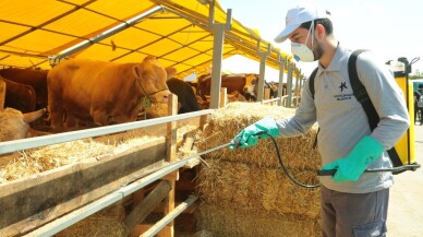 Küçükçekmece’de hijyenik ve güvenli kesim için önlemler alındı