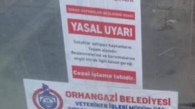 Orhangazi’de sokak hayvanları sahipsiz değil