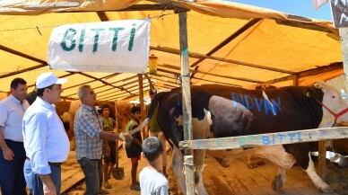 Osmangazi kurban bayramına hazır