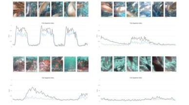 UMITRON, Fish Appetite Index’i piyasaya sürdü