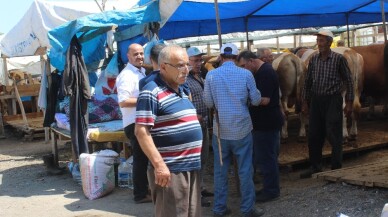 Zeytinburnu’nda kurbanlık satışları başladı