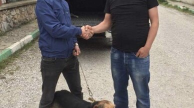 Av köpeği karşılığında transfer oldu