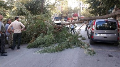 Fatih’te şiddetli rüzgardan ağaç otomobilin üstüne devrildi