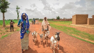 İyilik Derneği, Afrika’nın derdine süt keçileri ile koşuyor