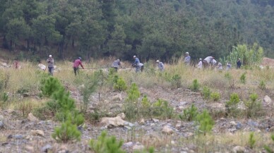 Madenler çıkarıldı...20 bin fıstık ve akasya maden sahasına dikildi