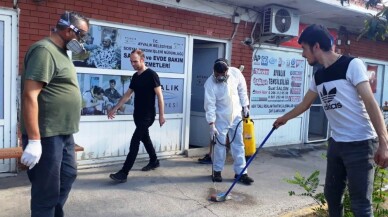 Sokak hayvanlarından yayılan keneler Eski Garaj’ı bastı imdada Ayvalık Belediyesi yetişti