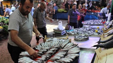 Tezgâhta en ucuz balık sardalye