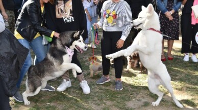 Türkiye’nin ilk Evcil Hayvan ve Yaşam Festivali ’’Petival’ renkli anlara sahne oldu