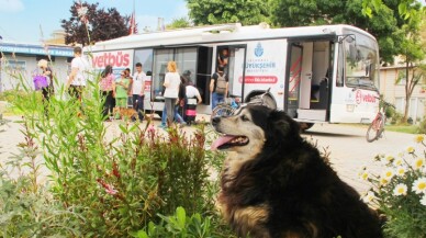 Vet-Büs, minik dostlar için Kartal’a geliyor