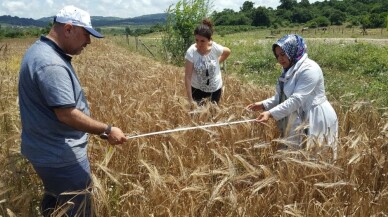 Yüzde 50 hibeli tohum desteği için talep alımları başladı